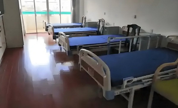 深圳市积分入户网申请在哪里办理吗_哈哈哈GM普通话还可以哦‼️有点惊喜 一辆野猪撞上快车城际